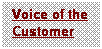 Text Box: Voice of the Customer